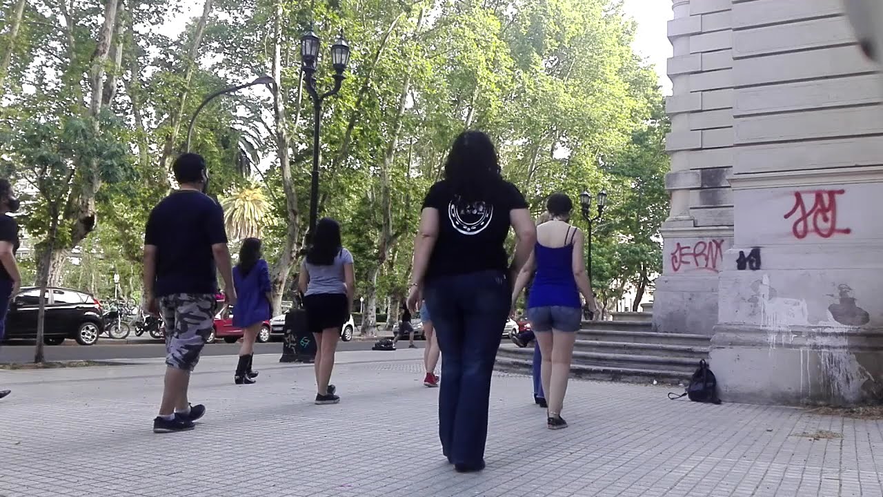 Go cat go - line dance en pandemia