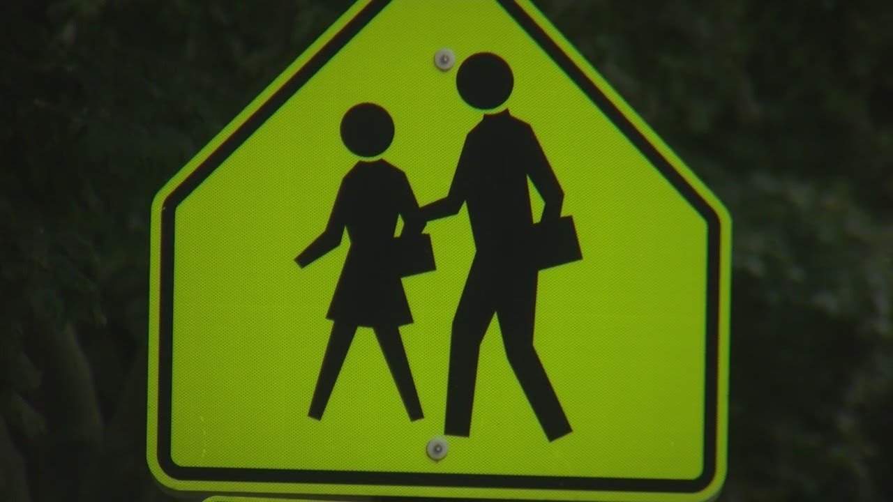 Elementary student heading to school hit by car in crosswalk