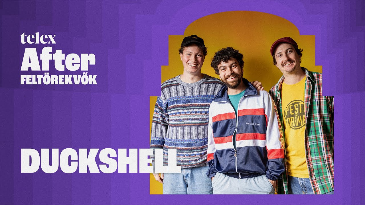 Duckshell: A politikai elit magára hagyott minket