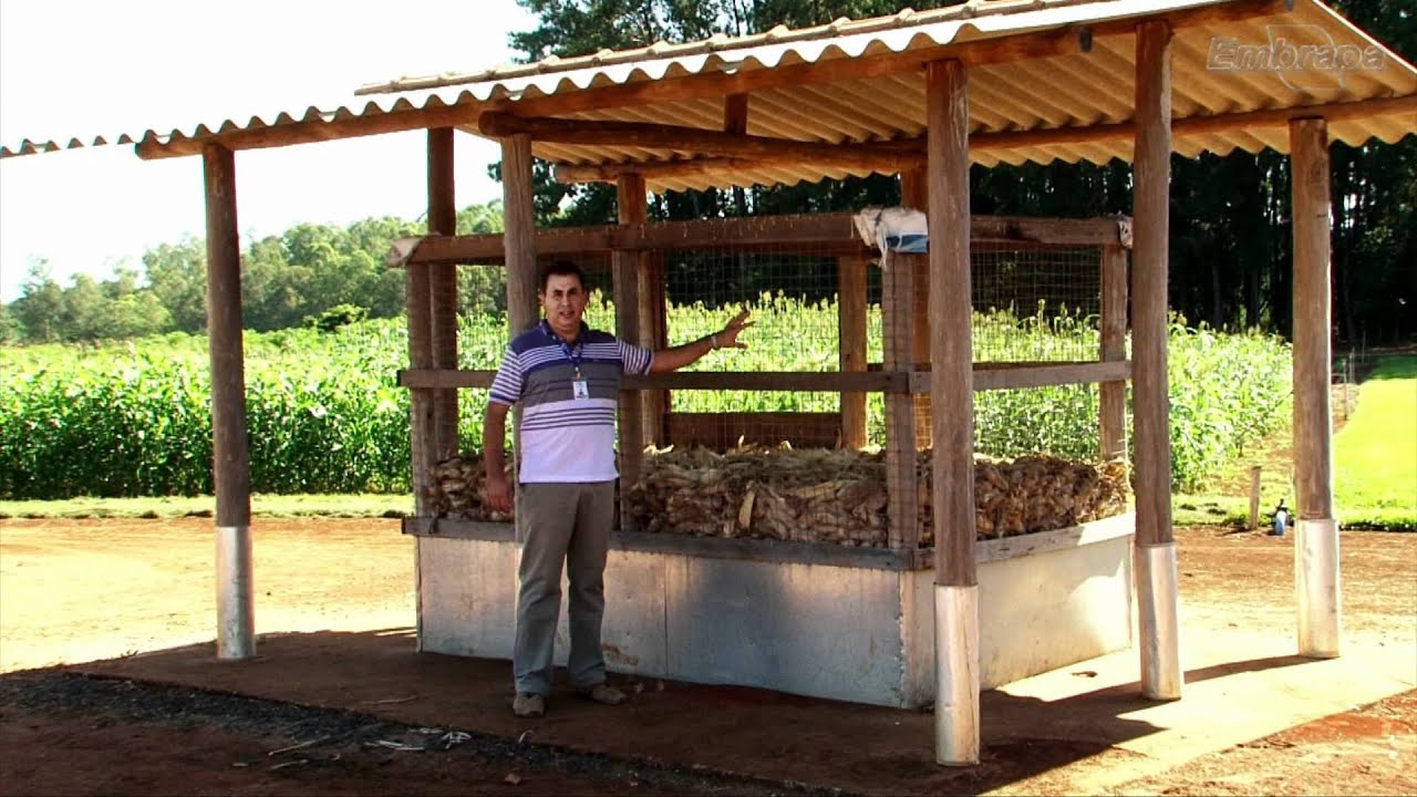 Armazenamento do milho em propriedades familiares
