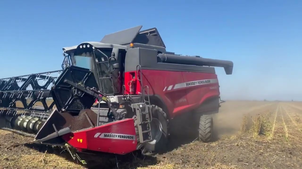 Masseyferguson 7345S Biçerdöver Soyafasülyesi Hasatı
