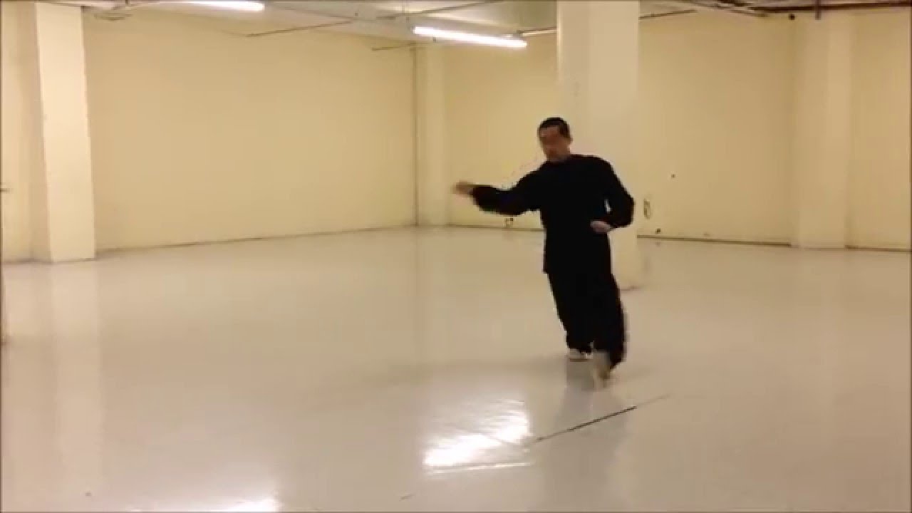 Xing Yi Quan ( Hsing-I, 河北形意拳 ) Heng (or Earth) Quan: Teaching Footage in Chinese.