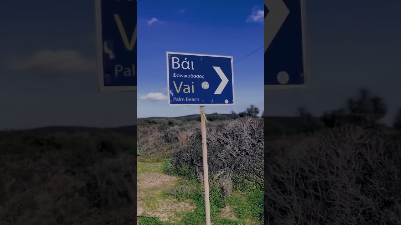 #griechenland #vai #kreta #palmen #urlaub #reiseabenteuer #bestplace