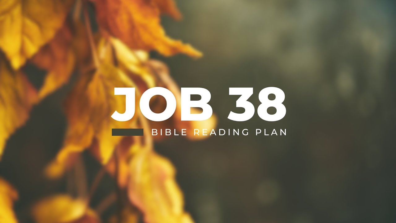 Job 38