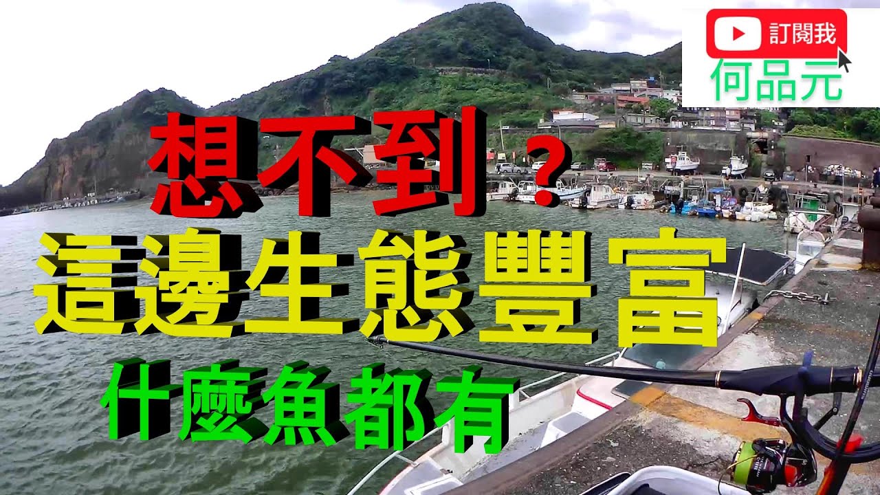 水湳洞磯釣 好多魚種 嚇到我了^_^