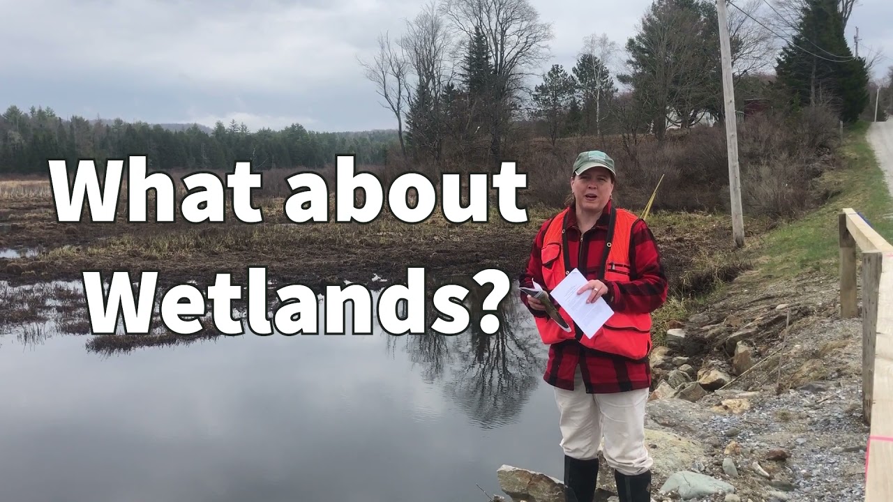Culvert Replacement – River and Wetland Considerations