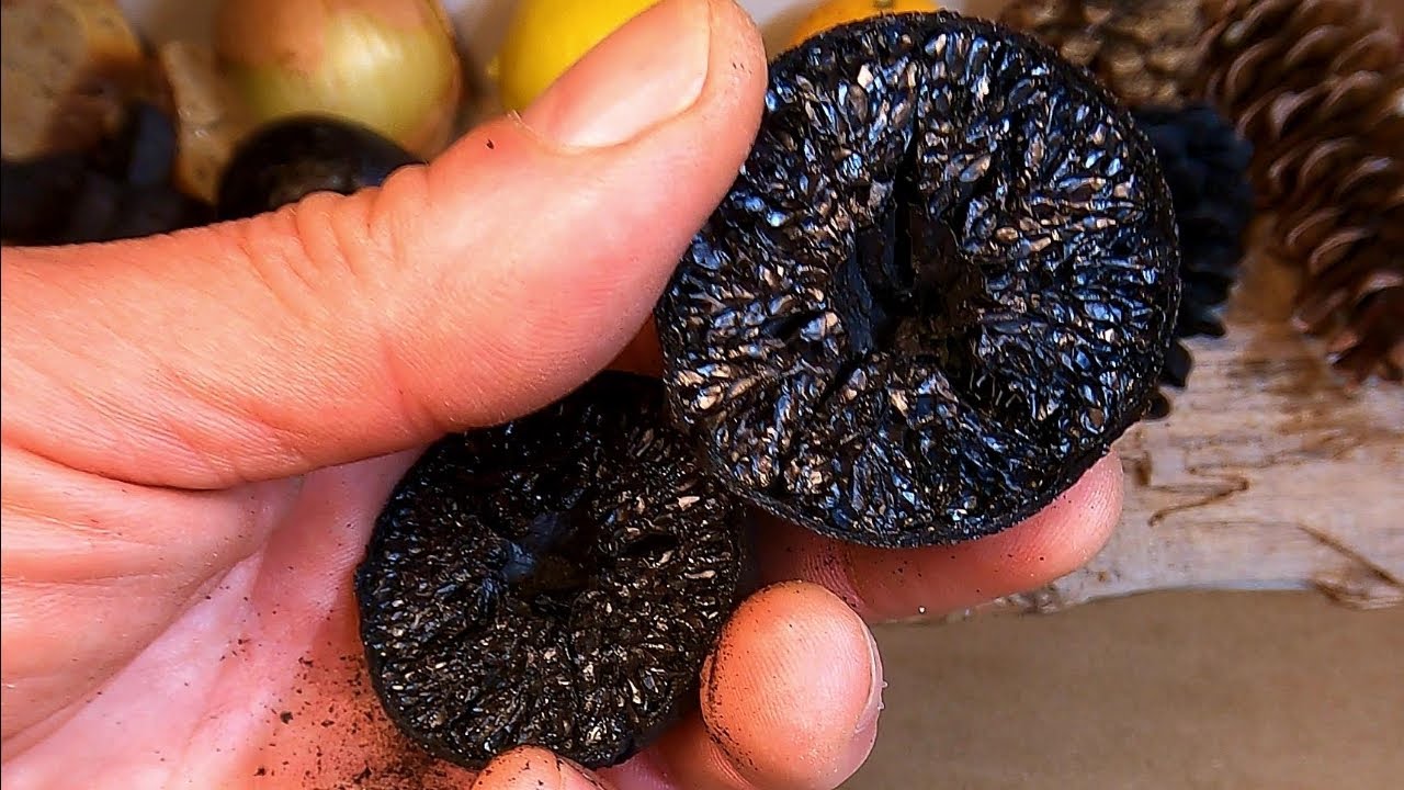 Will It Charcoal? How to Make Charcoal at Home