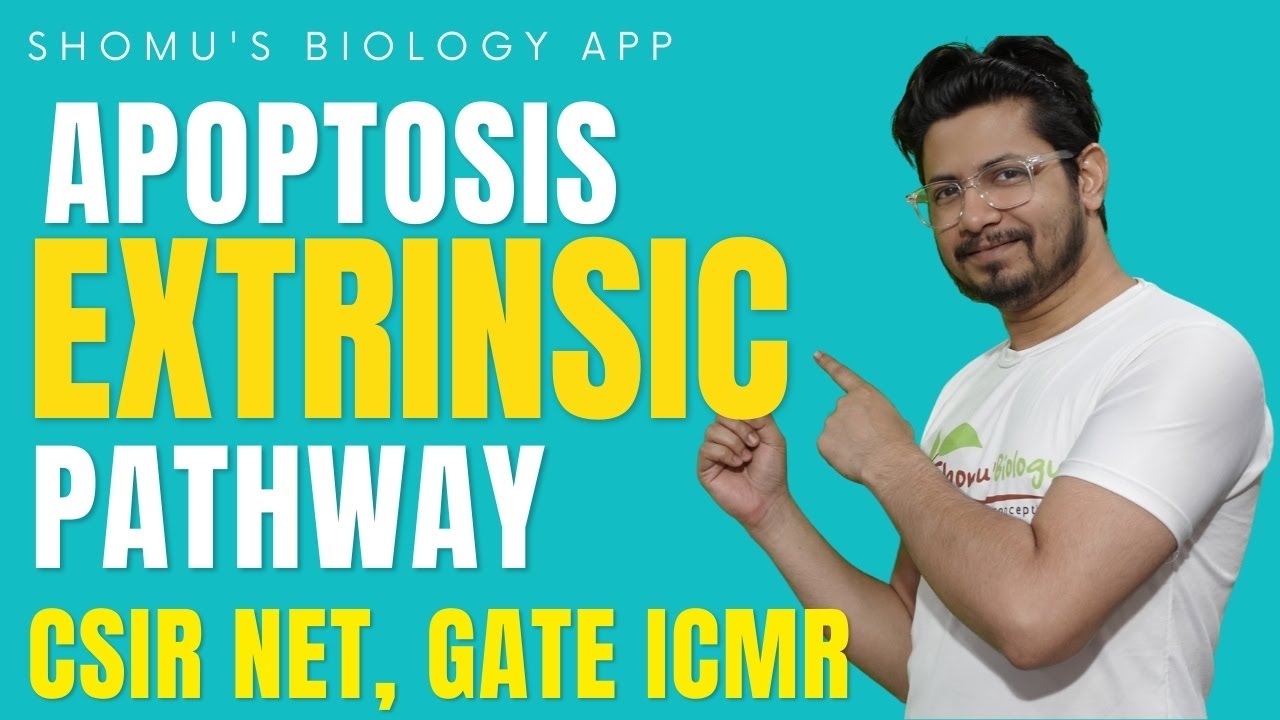 Extrinsic pathway of apoptosis | Mechanism of apoptosis | Apoptosis lecture 3 | fas ligand pathway