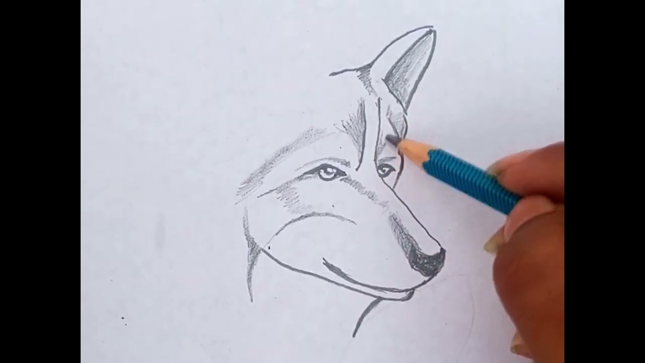 How to draw easy and smart fox🐺