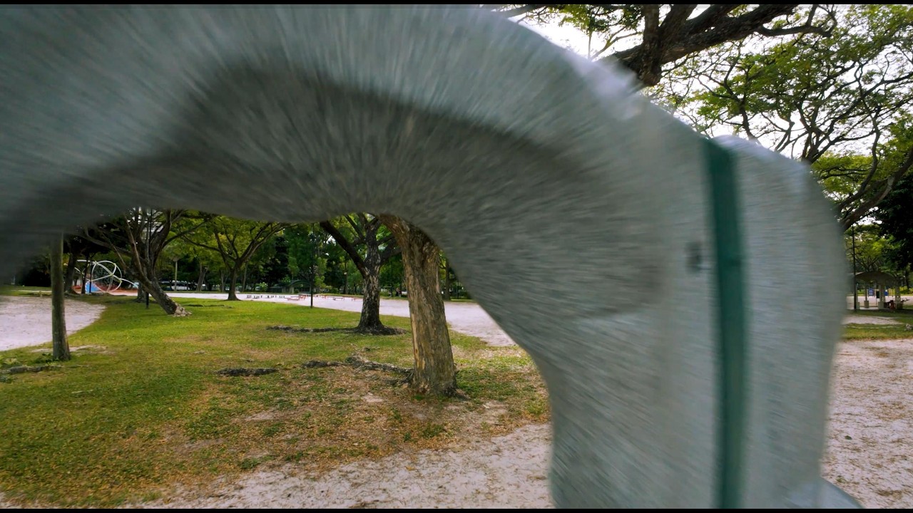 Playing with trees at West Coast Park