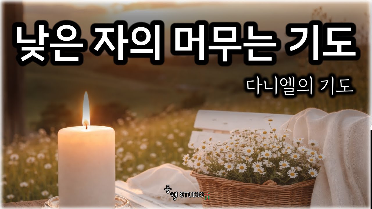 다니엘의 기도 _ 511(06:00~) #동행studio