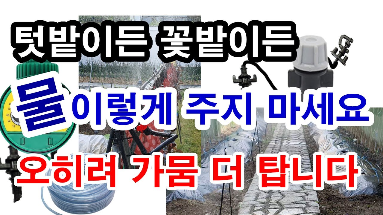 텃밭이든 꽃밭이든 물 이렇게 주지마세요. 오히려 가뭄 더 탑니다.