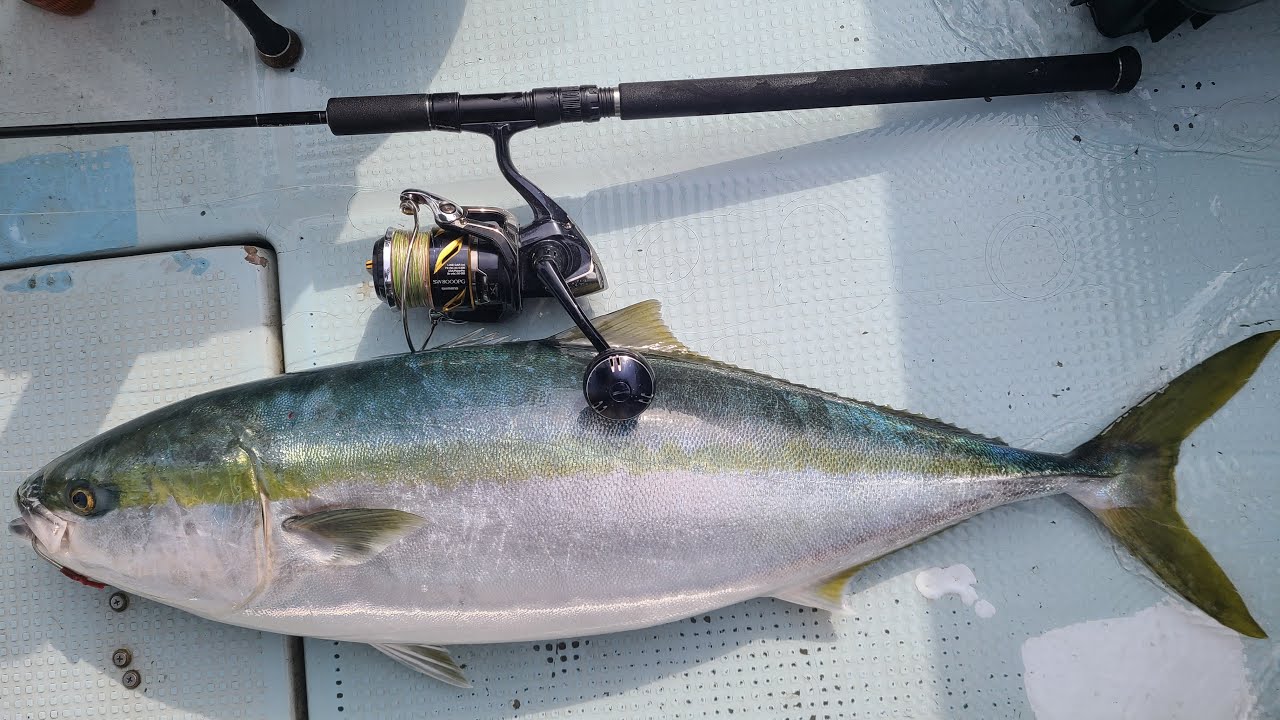 タカミテクノス　釣行動画　丹後　ブリジギング