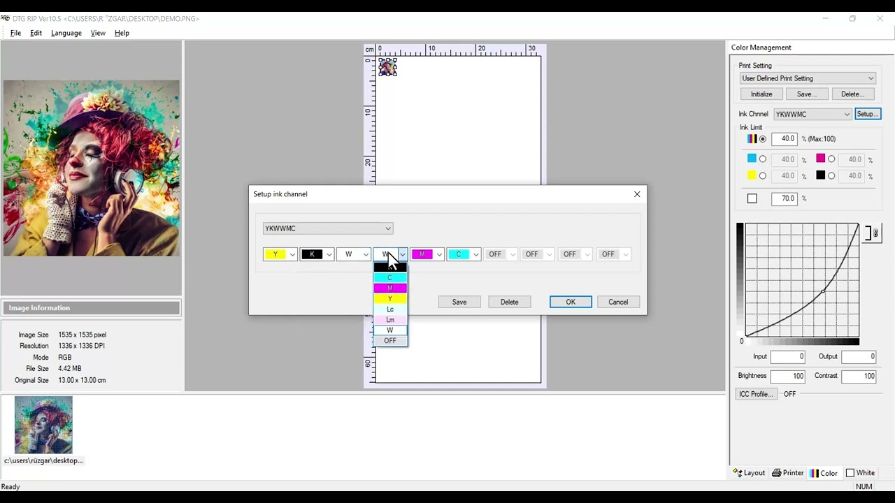 DTG Rip (AcroRIP) 10.5 DTF Rip Full Download Unlimited PC Software NO dongle!