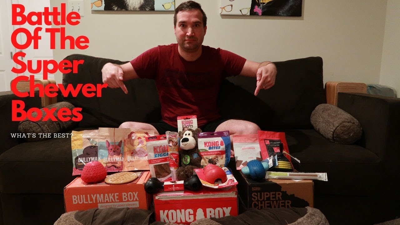 BULLYMAKE Box vs KONG Box vs BARK Box Super Chewer | Review | 2020