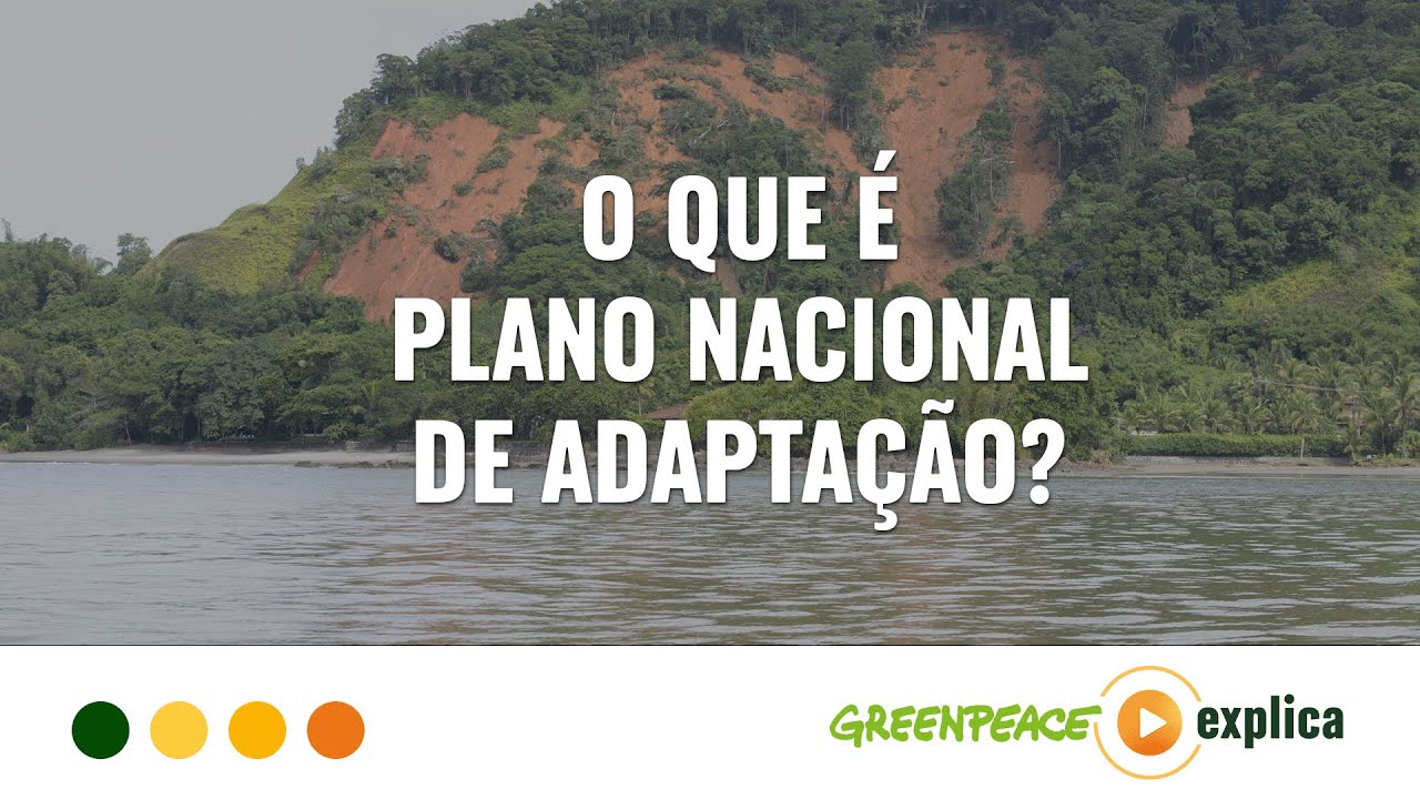 O que é Plano Nacional de Adaptação? - Greenpeace Explica