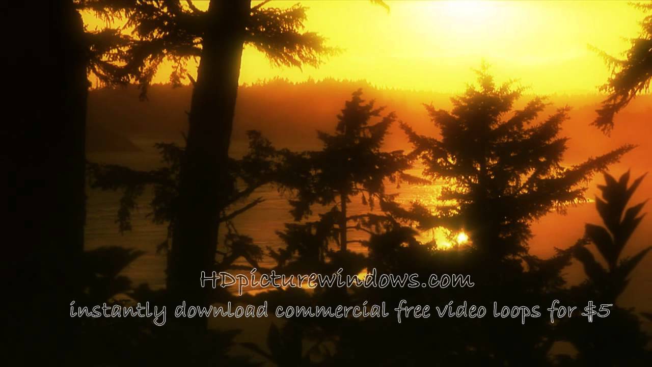 HD Ambient Mood Video of a golden sunset on the ocean in British Columbia - www.hdpicturewindows.com