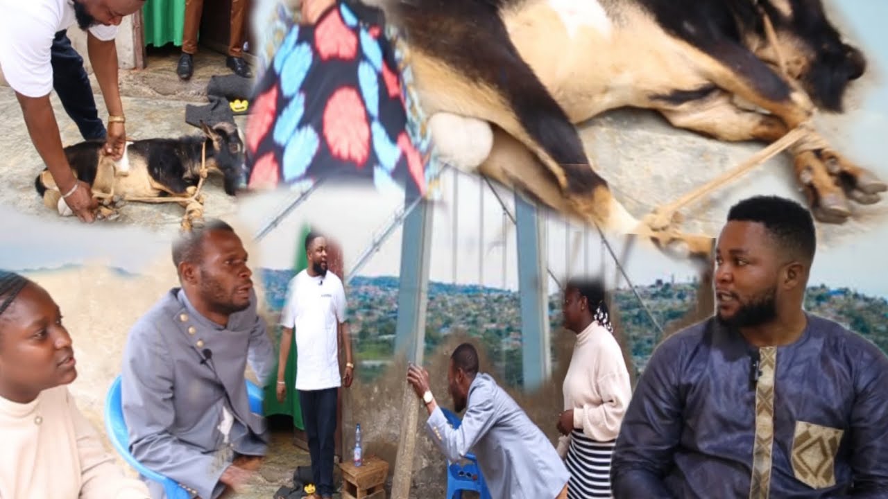 KAKE LIKOLO YA LOPANGO YA PAPA BAKOTISA MOLIMO YA MUANA NA KATI YA TABA SOMO EV JONAS AREVELE 