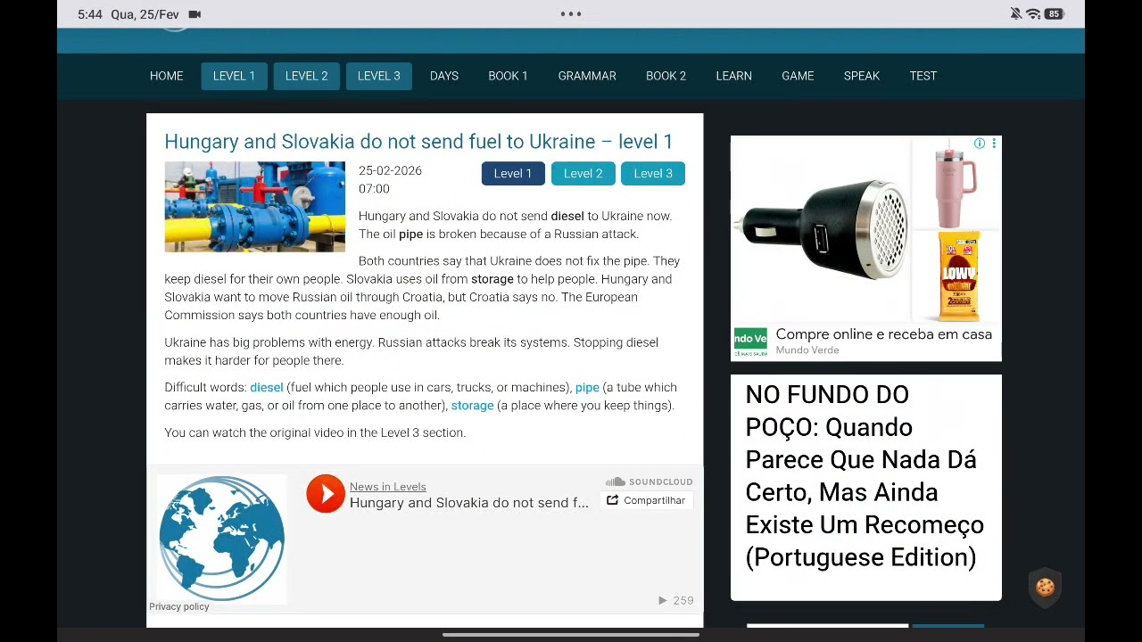Level 1 - texto guiado inglês 