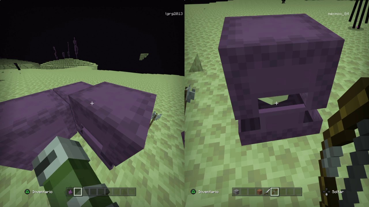 Minecraft el end