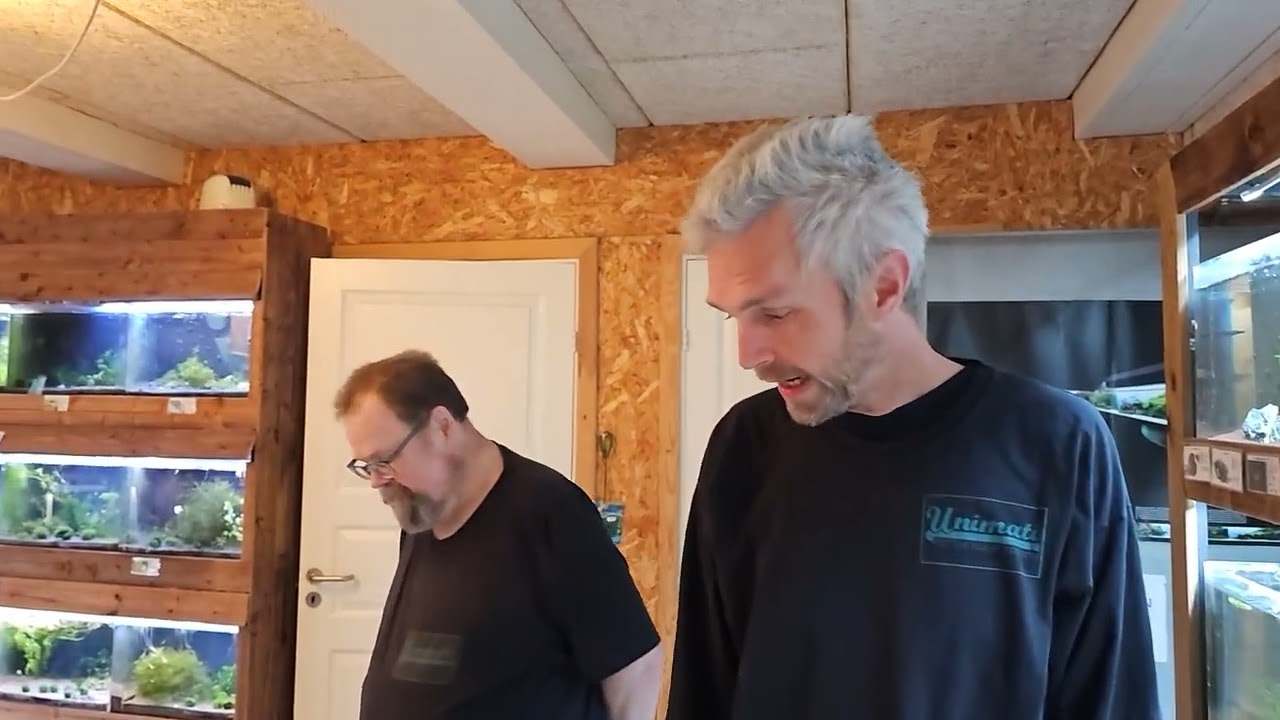 Fredagsfilm - Sten sendes på webshoppen og nye fisk i akvarierne!