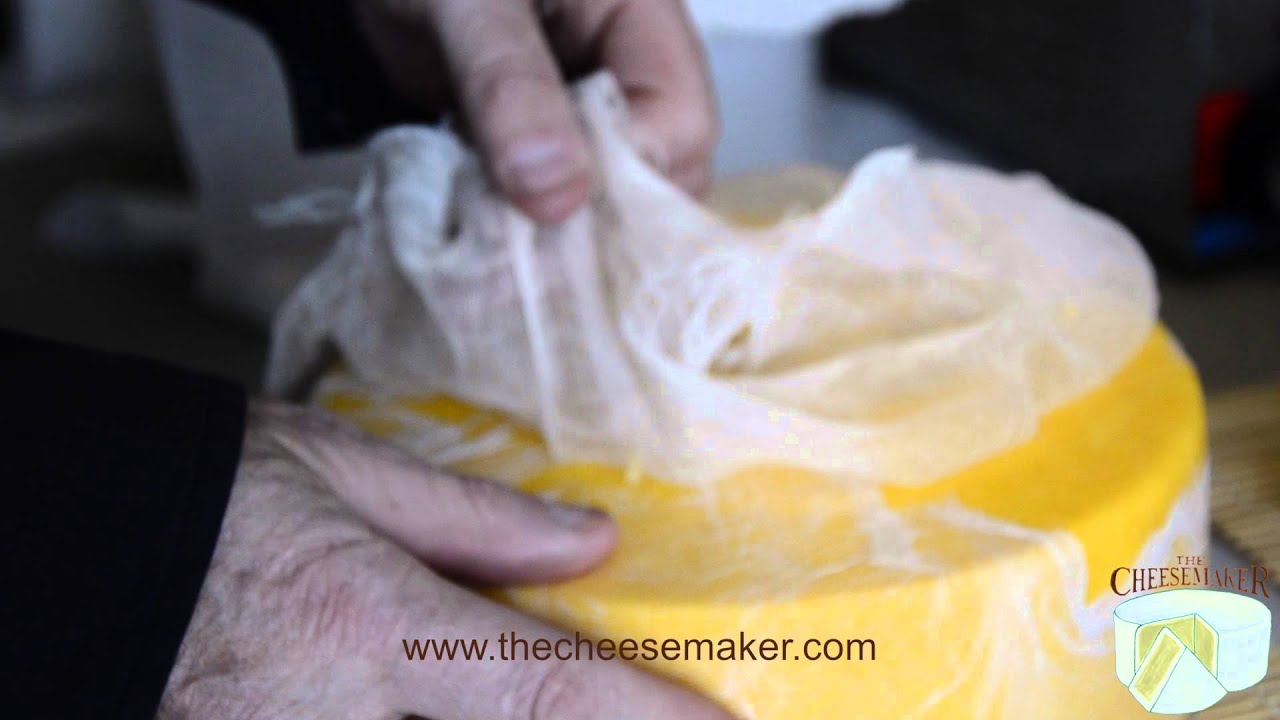 Cheddar Cheese Making: Unwrapping Cheese Cloth.