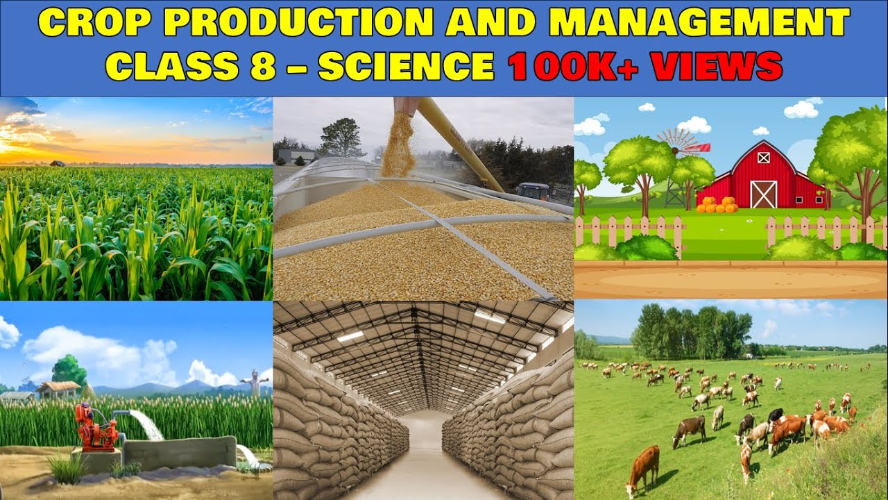 Crop production and management class 8 science chapter 1 animated video in hindi & full explanation