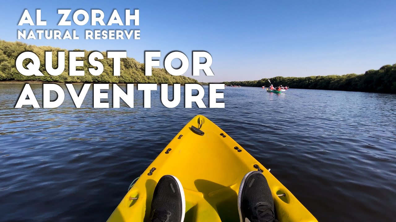 AL ZORAH NATURE RESERVE || QUEST FOR ADVENTURE . AJMAN - UAE