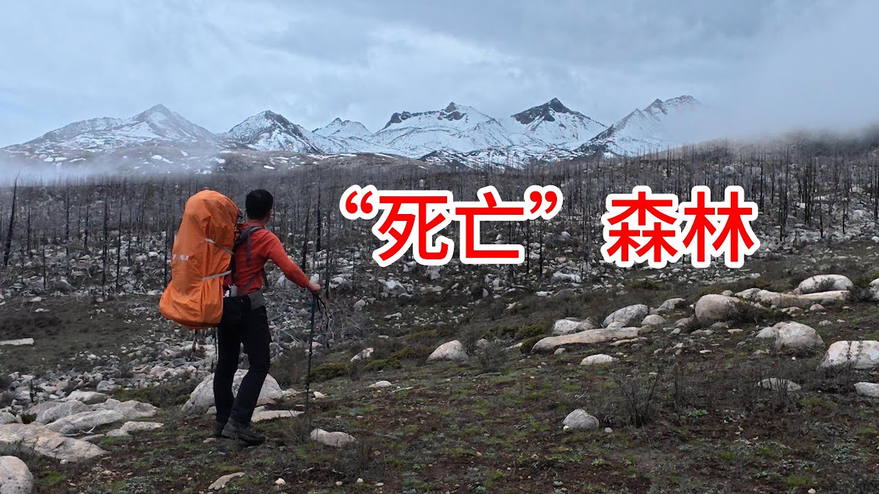 （八）徒步穿越&ldquo;死亡森林&rdquo;，从荒野回到人间Hike through the 