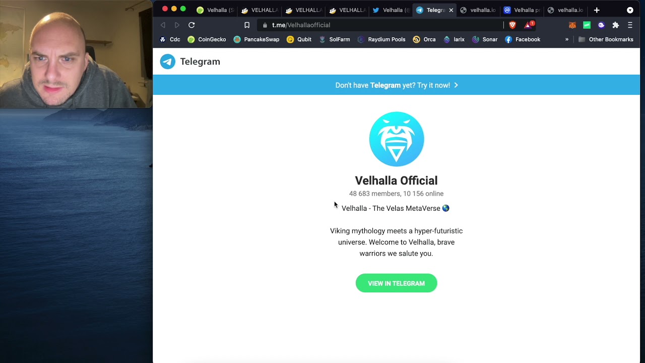Has Velhalla crypto (SCAR) been an ICO scam: rugpull 2 hours after launch?