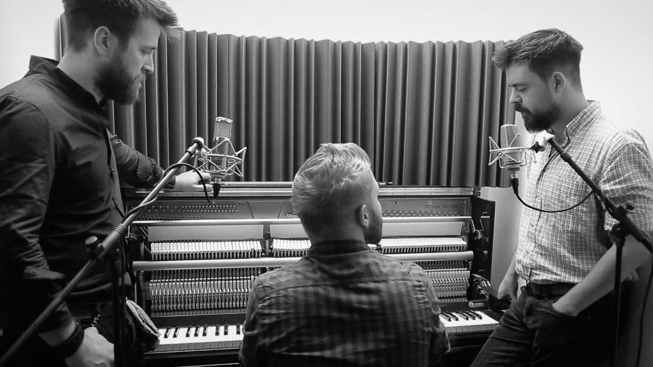 Wild Horse - Young Forest [acoustic session]