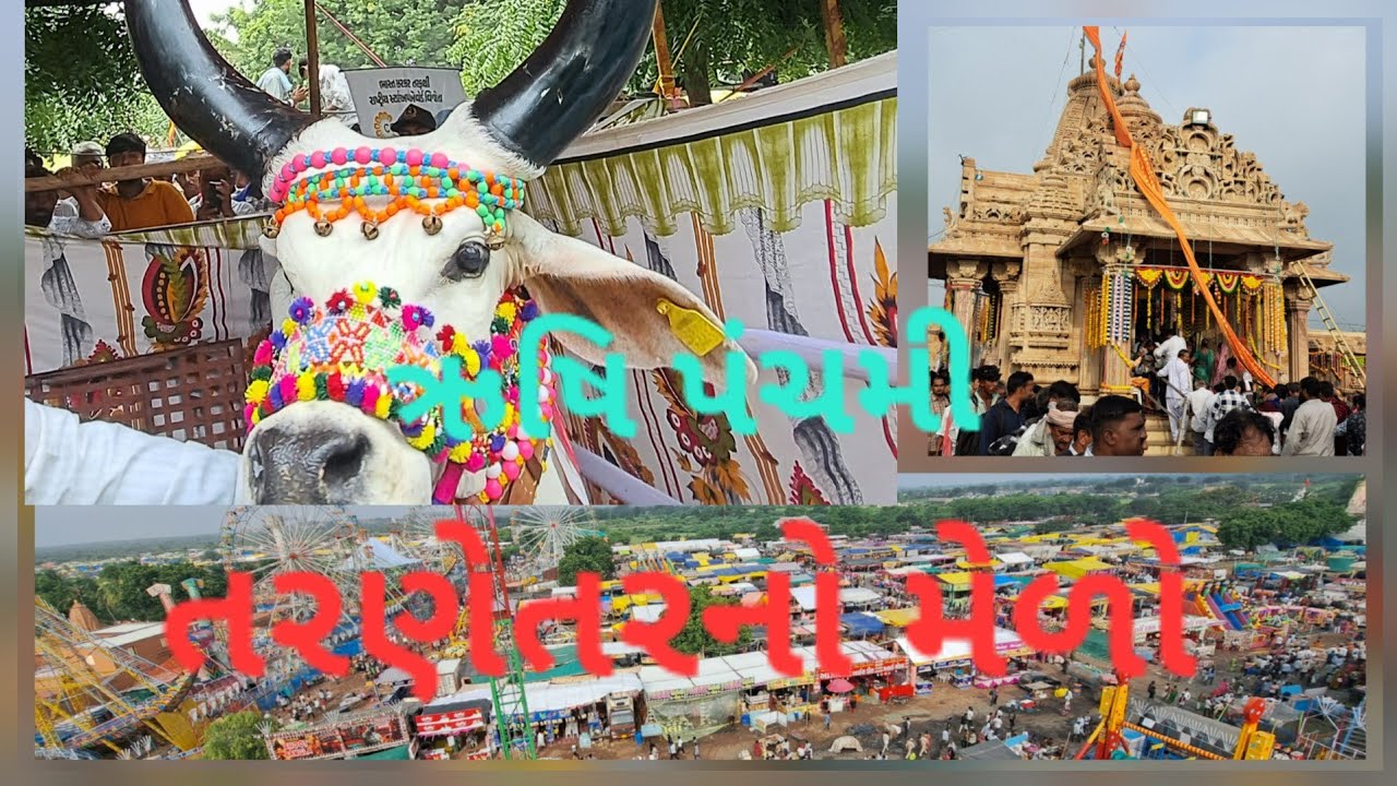 તરણેતરનો મેળો ઋષિ પંચમી એ મેળા અનેક વિધ રમત ગમત સાથે રસા ખેંચ મોજ થી મેળો માણો.