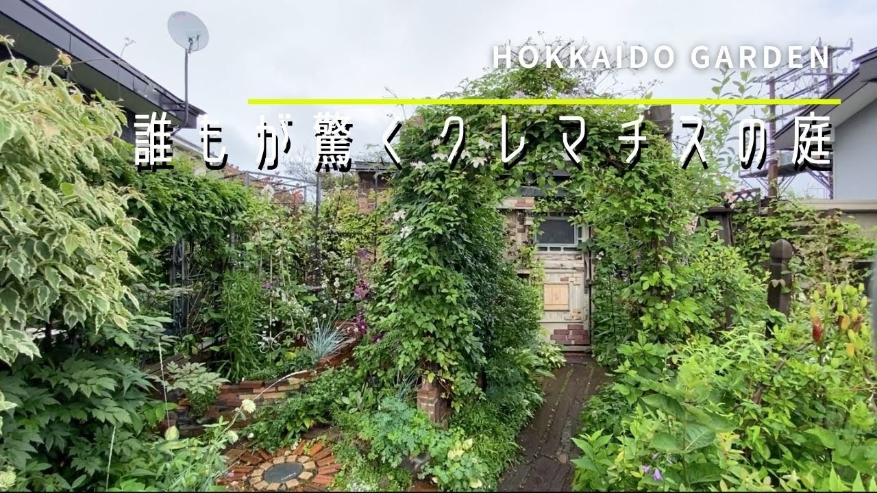 【オープンガーデン】100種類以上のクレマチスがある庭を訪問。お花を一つずつ紹介します【園芸】【ガーデニング】