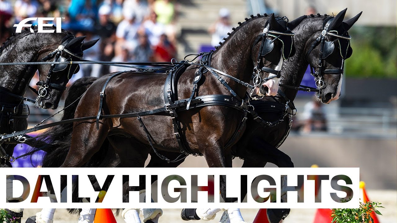 Record-breaker Boyd shines bright in Hungary! ✨ | FEI Driving World Championship 2024 Four-In-Hand