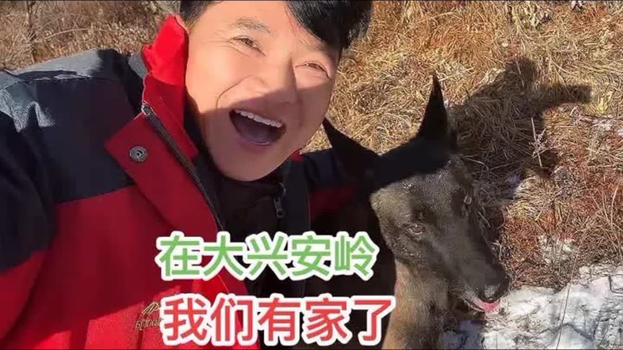 在大兴安岭我们有家了，我们再也不用漂泊了#自驾游中国 #一人一狗 #大兴安岭 #户外露营 #旅行vlog