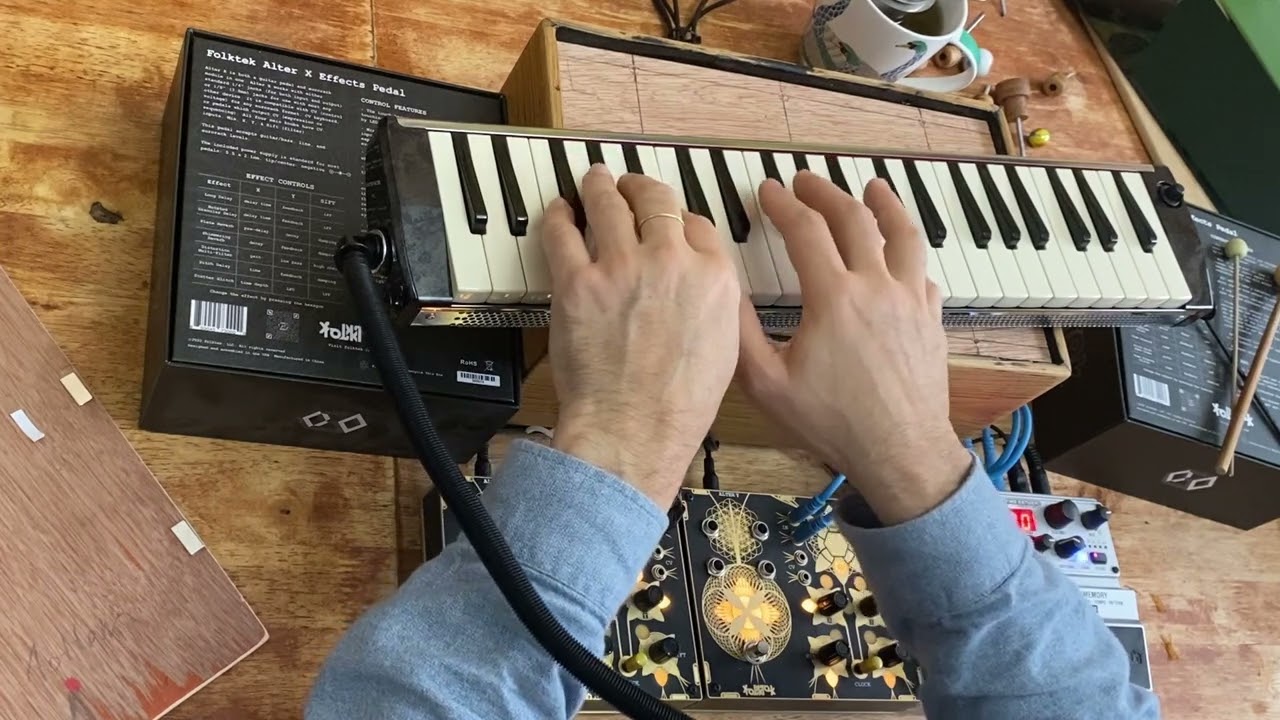 Sound Box - Hammond PRO-44HP V2 Melodica with folktek alter X & Y + Digitech TimeBender
