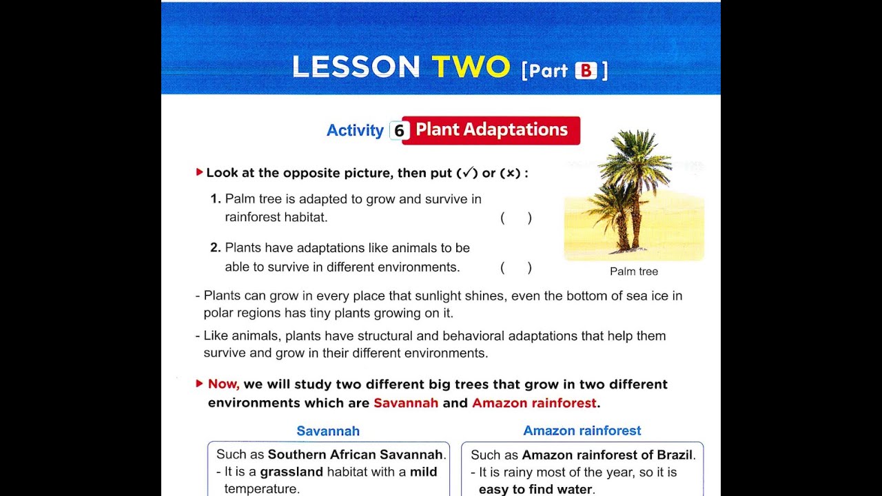 Grade4 Lesson 2 part 2 2026 شرح الدرس الثانى ببساطة ساينس سنة رابعة ابتدائي بسهولة من الكتاب ج1