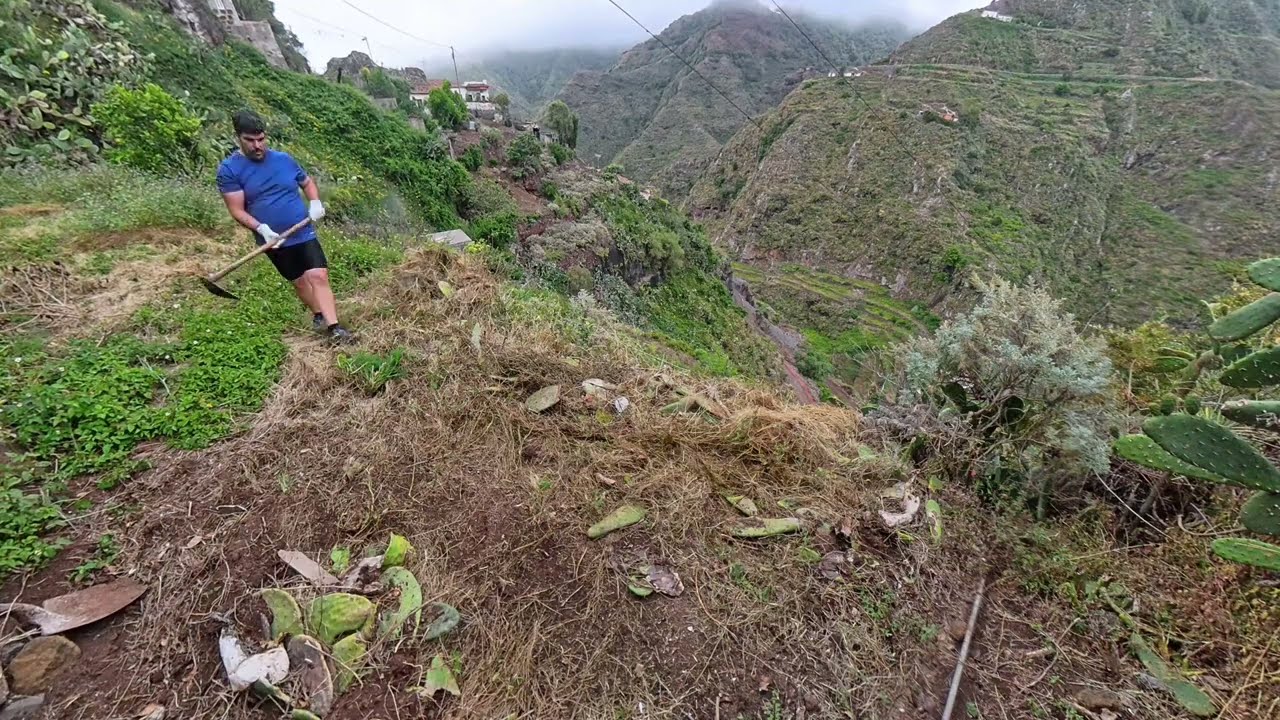 Recuperando un Bancal en Anaga 🌿 | Limpieza para Agricultura en el Batán | Cap12