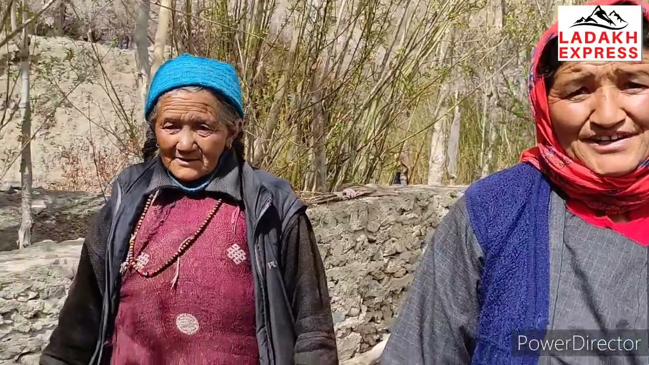 Blooming in Ladakh: Takmachik Inspiring Journey as the First Organic Village in the region. #organic