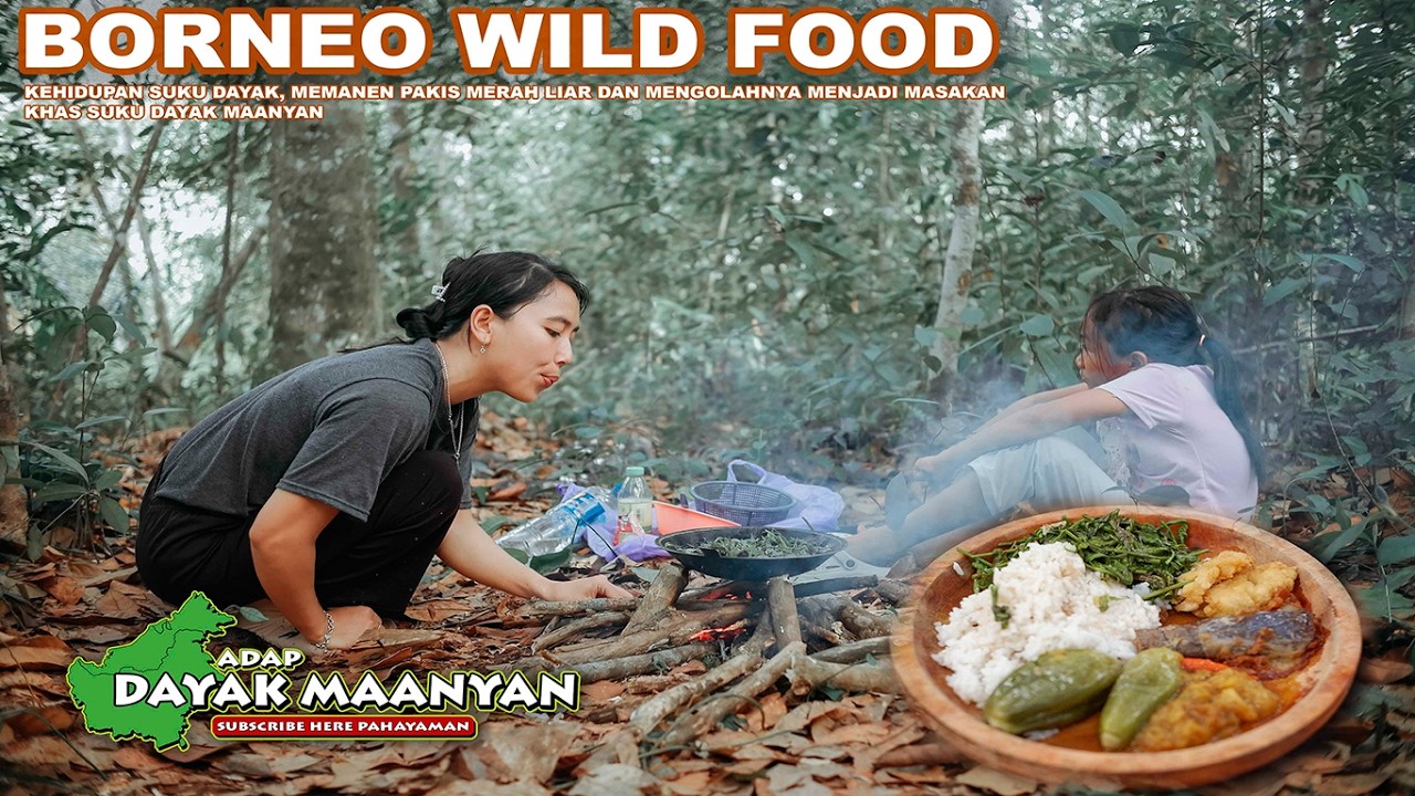 Kehidupan Suku Dayak, Memanen dan memasak sayur hutan liar di Pedalaman Kalimantan