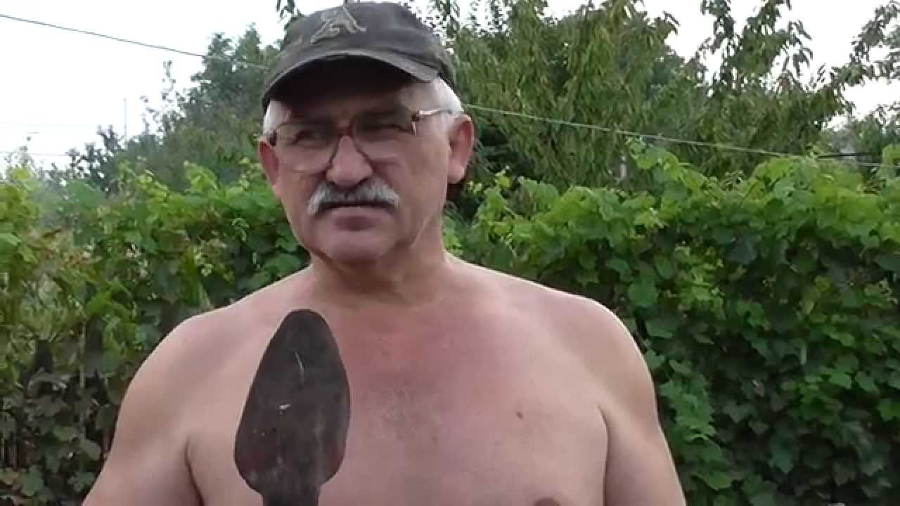 Заразиха. Что такое заразиха. Как выглядит заразиха.