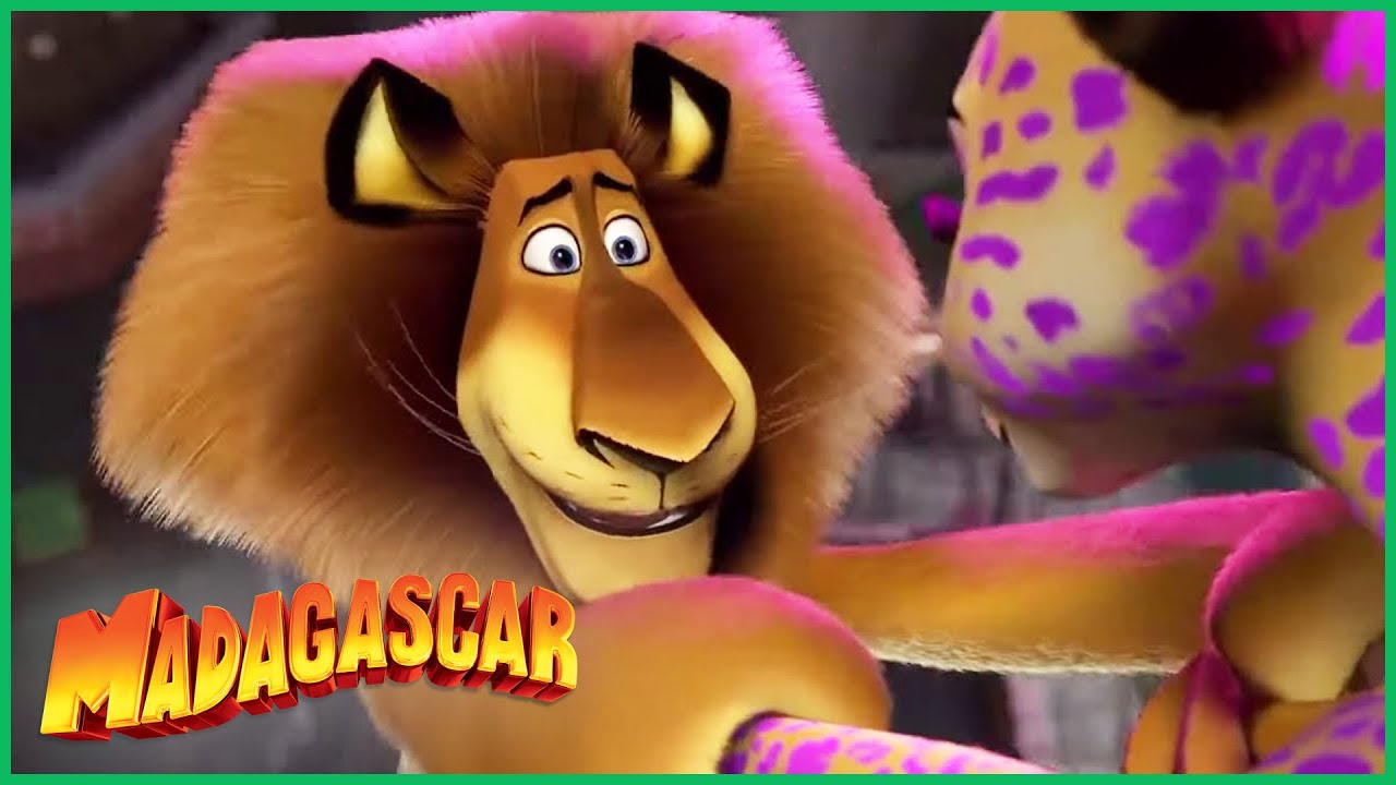 DreamWorks Madagascar em Português | Apresentação Circo | Madagascar 3 | Desenhos Animados