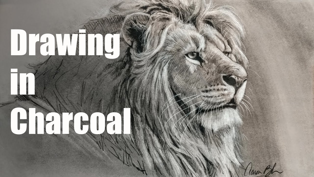 Drawing in Charcoal Live Demonstration