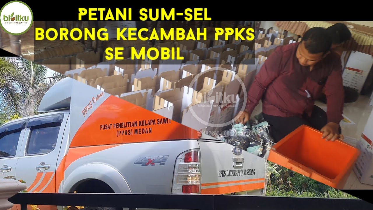 Borong Kecambah Semobil, Oleh PPKS Lansung diantar Ke Rumah.