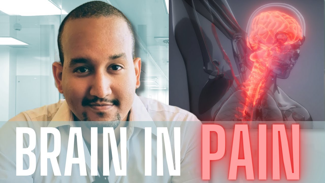 How Does Your Brain Create Pain?