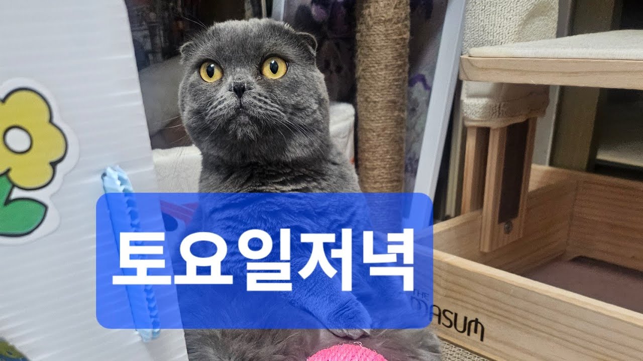 토요일저녁함께해요~^^