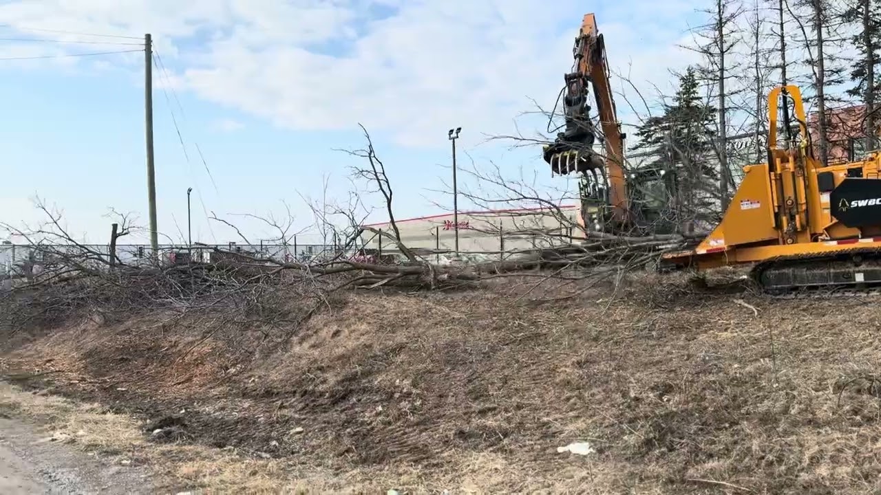 Chipper eating whole trees!