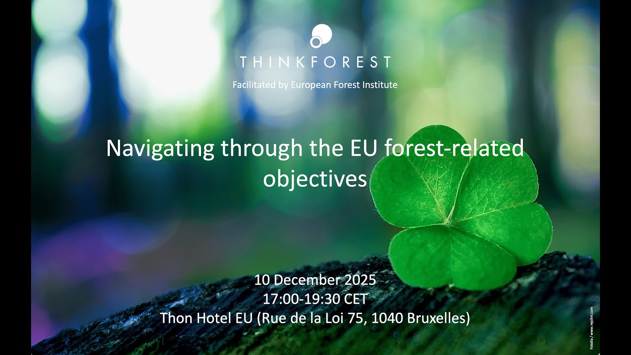 ThinkForest - Navigating through the EU forest-related objectives