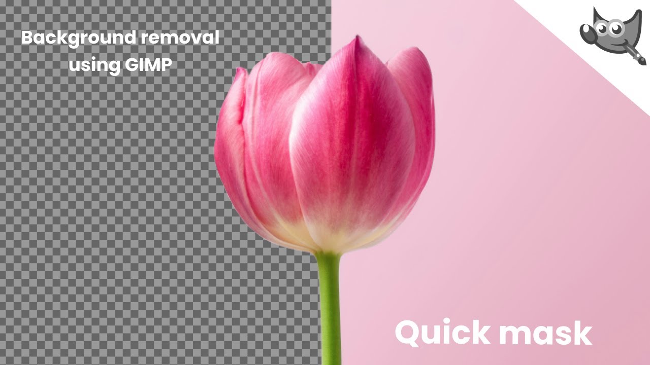 Remove Background Picture in GIMP with Quick mask - 3 | #gimp #backgroundremoval #imageediting