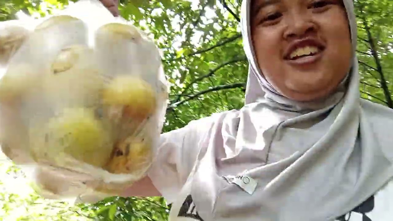 MENCARI PUNDI-PUNDI EMAS😱🤪